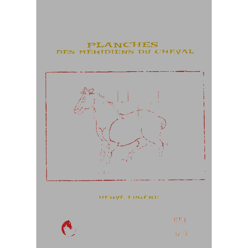 Tableros de los meridianos de 9 caballos - Hervé Eugene