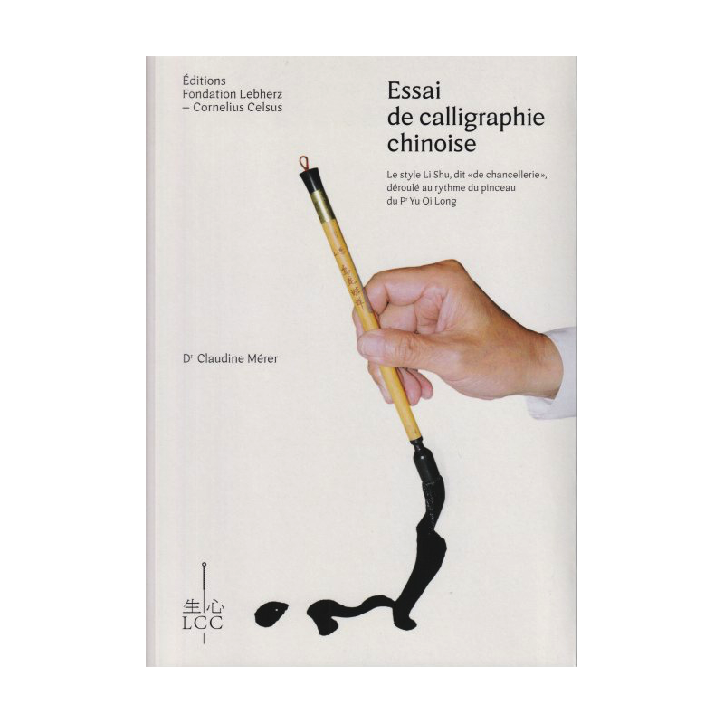Essai de calligraphie chinoise - Dr. Merer