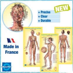 Women's Model Kit + Woman Entering Posters