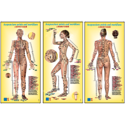 Women's Model Kit + Woman Entering Posters