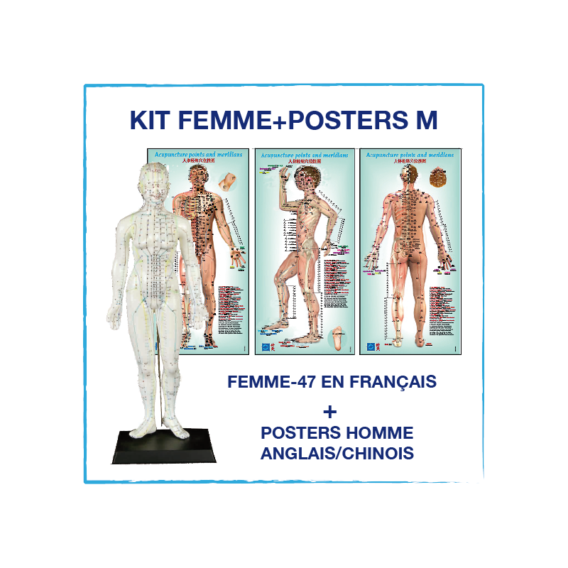 Weibliches Modell Kit + Poster Mann EN4