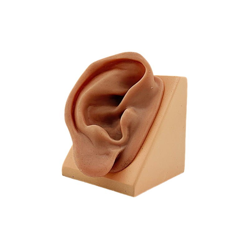 Oído de silicona