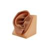 Oreille pédagogique en silicone
