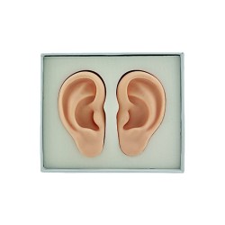 Paio di orecchie educative in silicone
