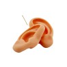 Paio di orecchie educative in silicone