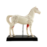 Cheval - Modèle d'acupuncture