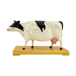 Modello di cow - agopuntura