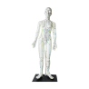 48 cm acupuncture woman model - English
