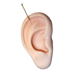 Paquete de entrenamiento completo