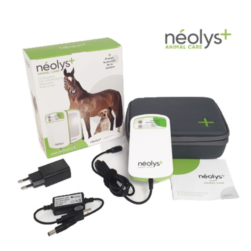 Neolys + Assistenza agli animali da parte dell'agopuntura di Redpoint