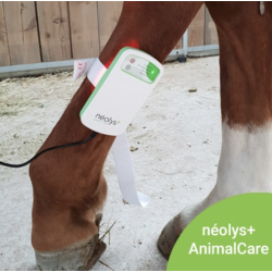 Neolys + Animal Care por Redpoint Acupunture