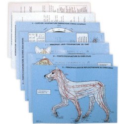 7 Tablas de perro y gato - Dr. Vet. Molinier