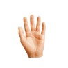 Silicone Educational Hand
