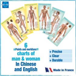 6 planches Woman + Man EN / CN