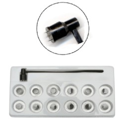 Plum Flower Hammer + 12 Sterile Heads for Single Use