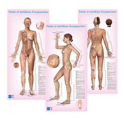 6 Planches da donna + uomo fr