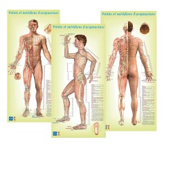 6 Damen Planches + Mann FR