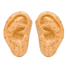 Pair of Ears - Anatomical Model