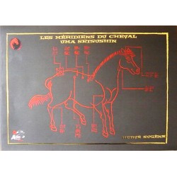 Meridiani di cavallo Uma Seushin - H. Eugene